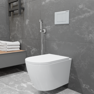 Подвесной унитаз Charus Estella Rimless EWC700-121W безободковый белый