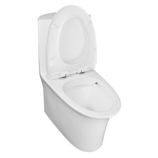 Унитаз моноблок Azario Luna 770x390x710 напольный, горизонтальный слив, сиденье дюропласт микролифт AZ-1037