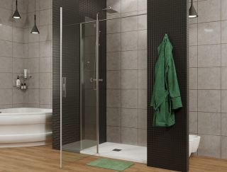 Душевая дверь Allen Brau Priority 100 3.31029.BA профиль Серебро браш