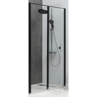 Душевая дверь Allen Brau Priority 120 3.31033.BBA профиль Черный браш