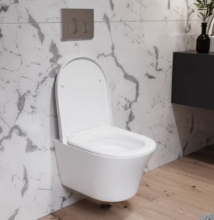 Унитаз Damixa Skyline безободковый с сиденьем микролифт DX35C1700SC