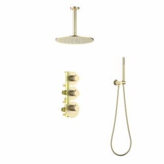 Душевой комплект Timo Saona SX-2399/17SM золото матовое