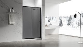 Душевая дверь Veconi Vianno VN-55BT, 1000x1950, Черный, стекло тонированное