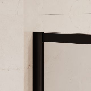 Душевая перегородка RGW WA-019B 351001990-84 90 см чёрный